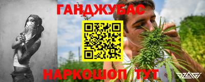 прущие крисы Кингисепп