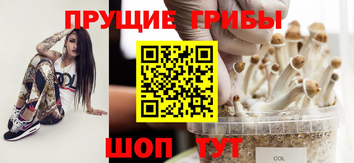 Псилоцибиновые грибы Magic Shrooms Кубинка