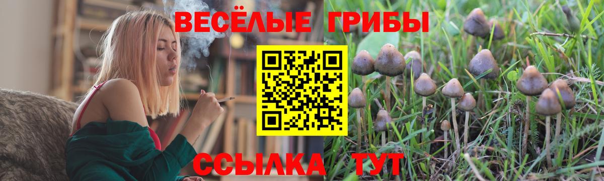 А ПВП Кубинка